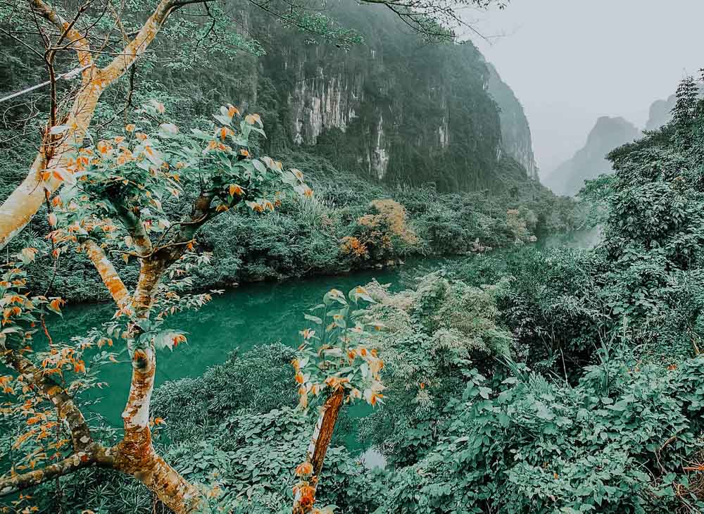 Fluss im Phong Nha-Ke Bang Nationalpark Vietnam